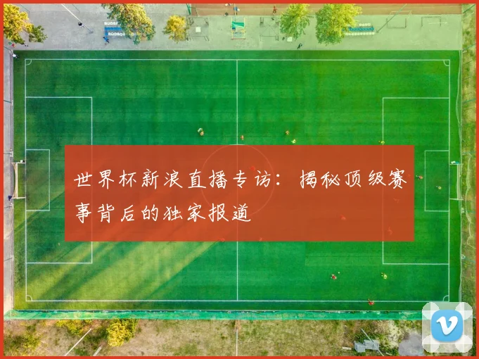 世界杯新浪直播专访：揭秘顶级赛事背后的独家报道