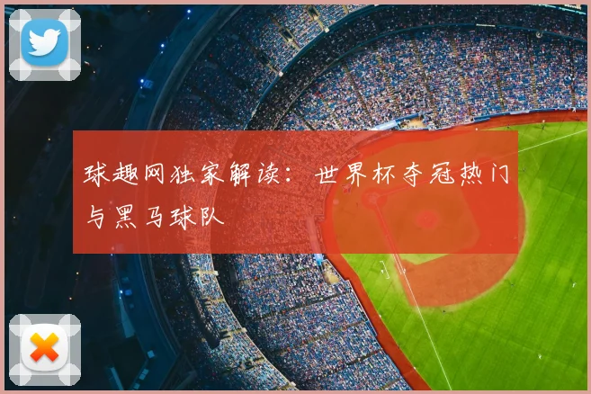 球趣网独家解读：世界杯夺冠热门与黑马球队