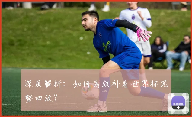 深度解析：如何高效补看世界杯完整回放？