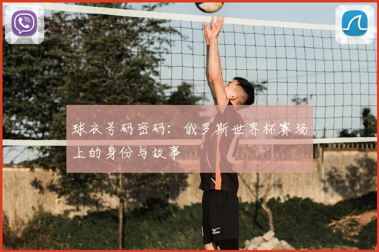 球衣号码密码：俄罗斯世界杯赛场上的身份与故事