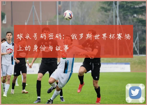 球衣号码密码：俄罗斯世界杯赛场上的身份与故事