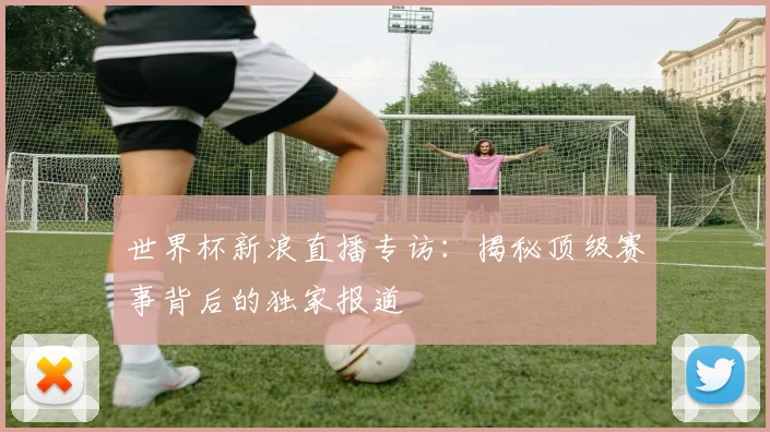 世界杯新浪直播专访：揭秘顶级赛事背后的独家报道