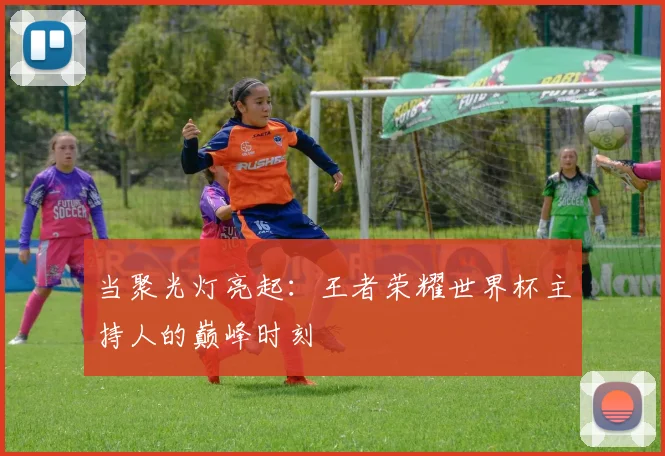 当聚光灯亮起:王者荣耀世界杯主持人的巅峰时刻