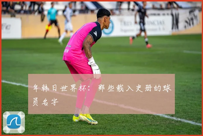 年韩日世界杯：那些载入史册的球员名字