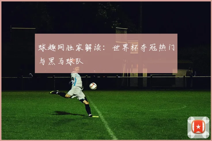 球趣网独家解读：世界杯夺冠热门与黑马球队