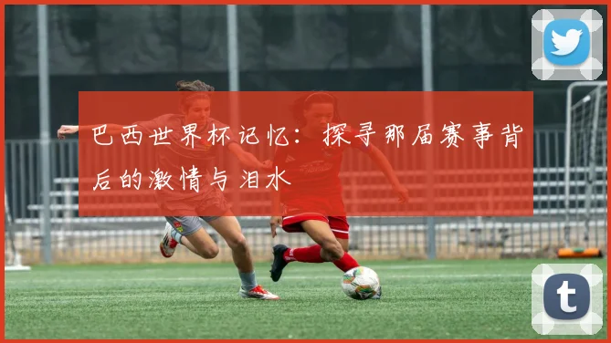 巴西世界杯记忆:探寻那届赛事背后的激情与泪水