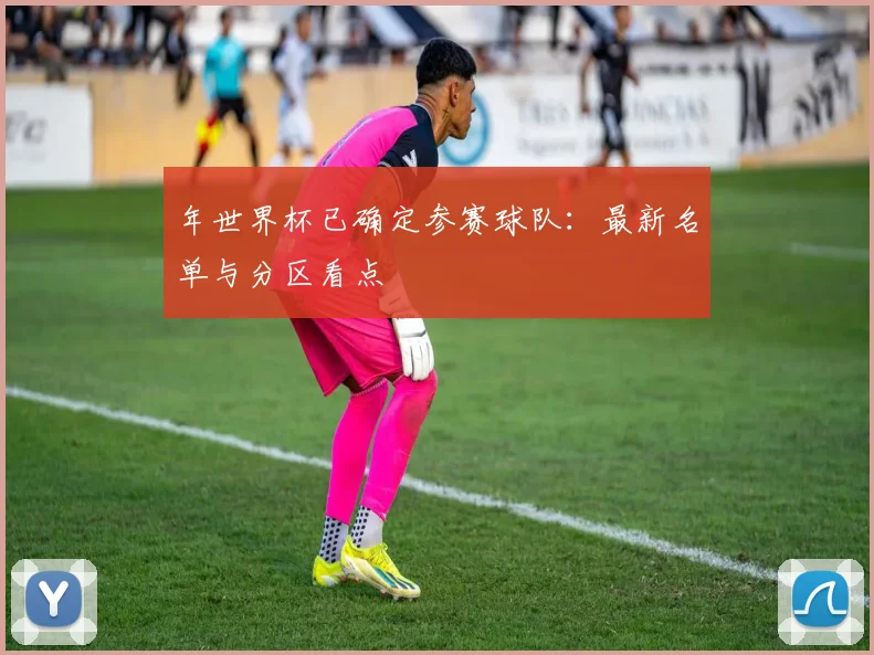 年世界杯已确定参赛球队：最新名单与分区看点